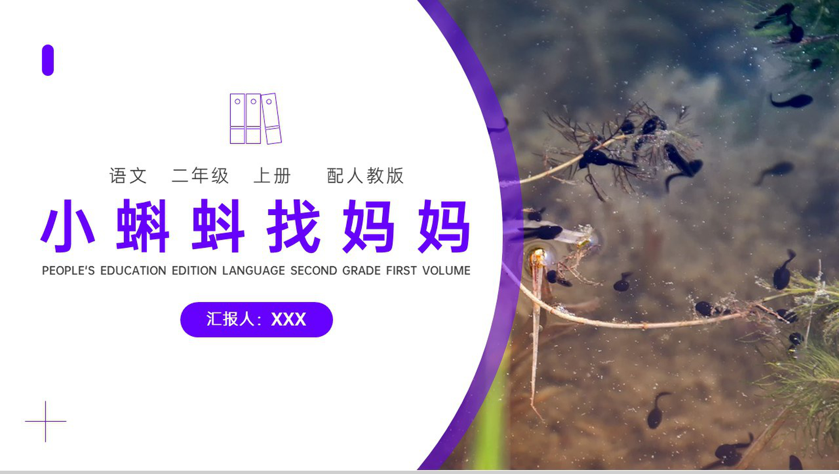 《小蝌蚪找妈妈 》人教版二年级上册语文PPT课件-1