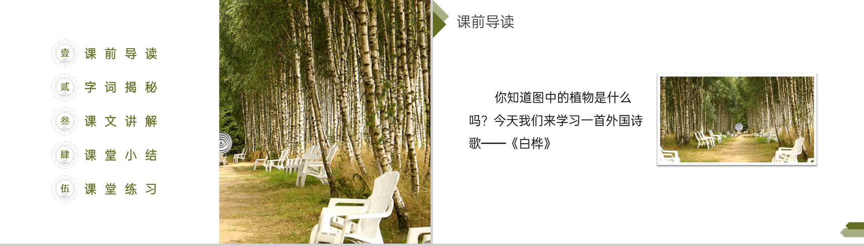 《白桦》人教版四年级语文下册精品PPT课件-2