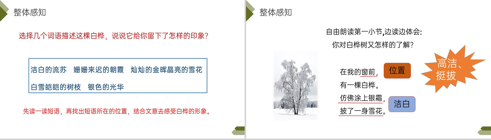 《白桦》人教版四年级语文下册精品PPT课件-10