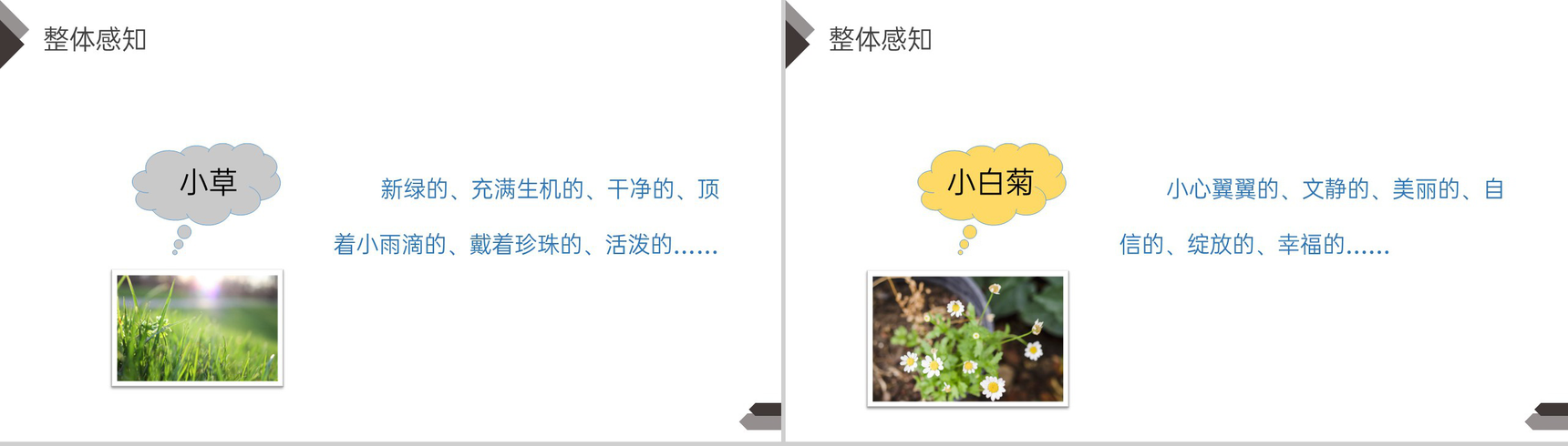 《在天晴了的时候》人教版四年级语文下册精品PPT课件-6