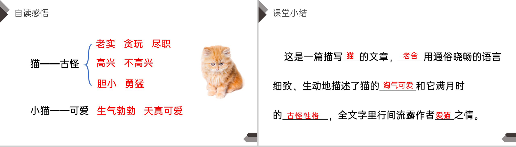 《猫》人教版四年级语文下册精品PPT课件-14