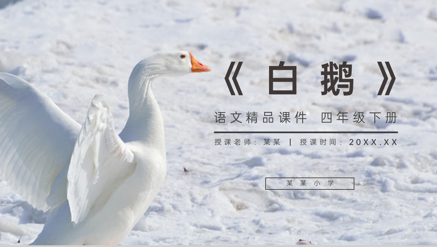 《白鹅》人教版四年级语文下册精品PPT课件-1