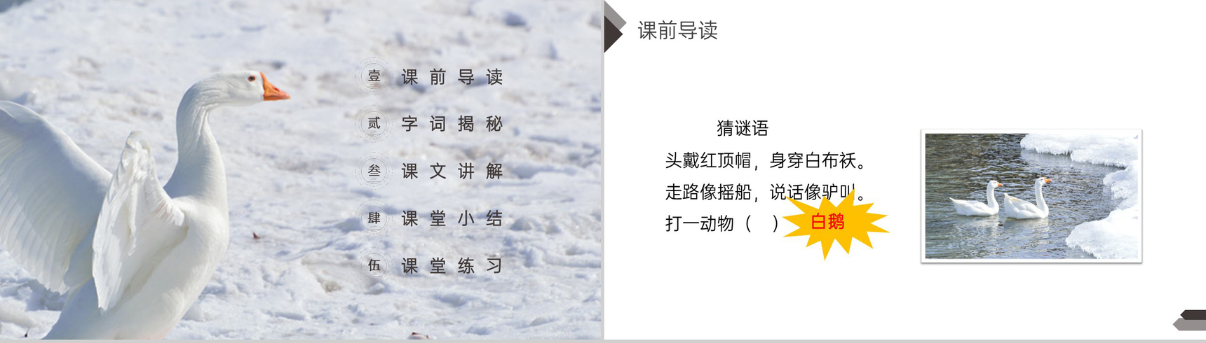 《白鹅》人教版四年级语文下册精品PPT课件-2