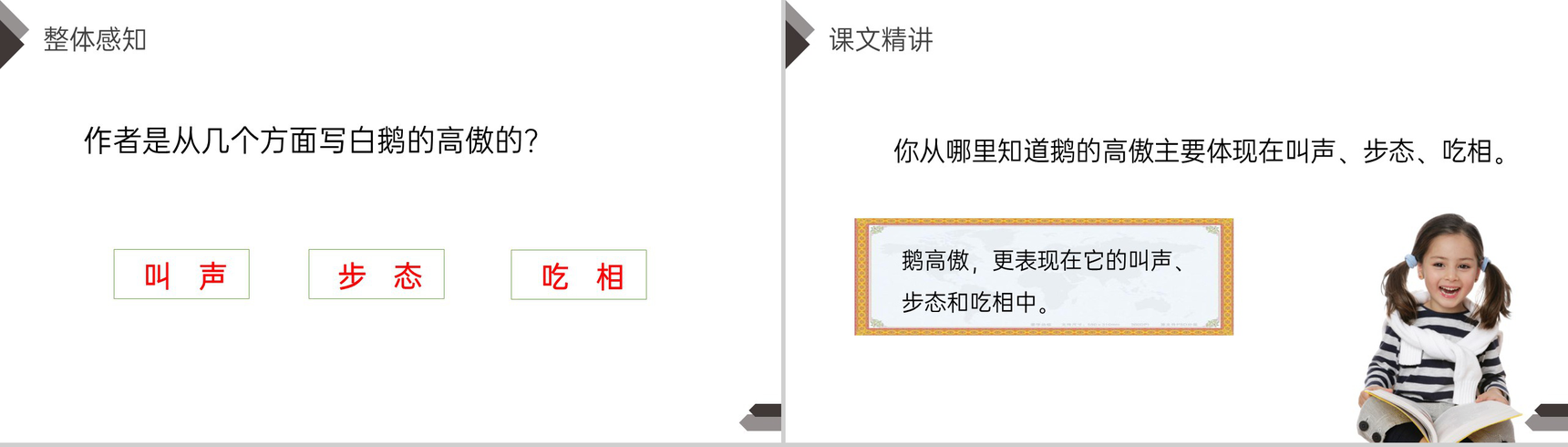 《白鹅》人教版四年级语文下册精品PPT课件-13