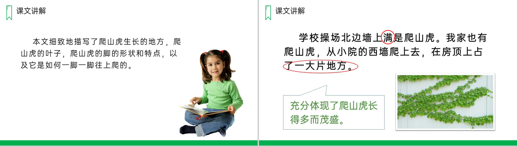 《爬山虎的脚》人教版四年级上册语文PPT课件-6
