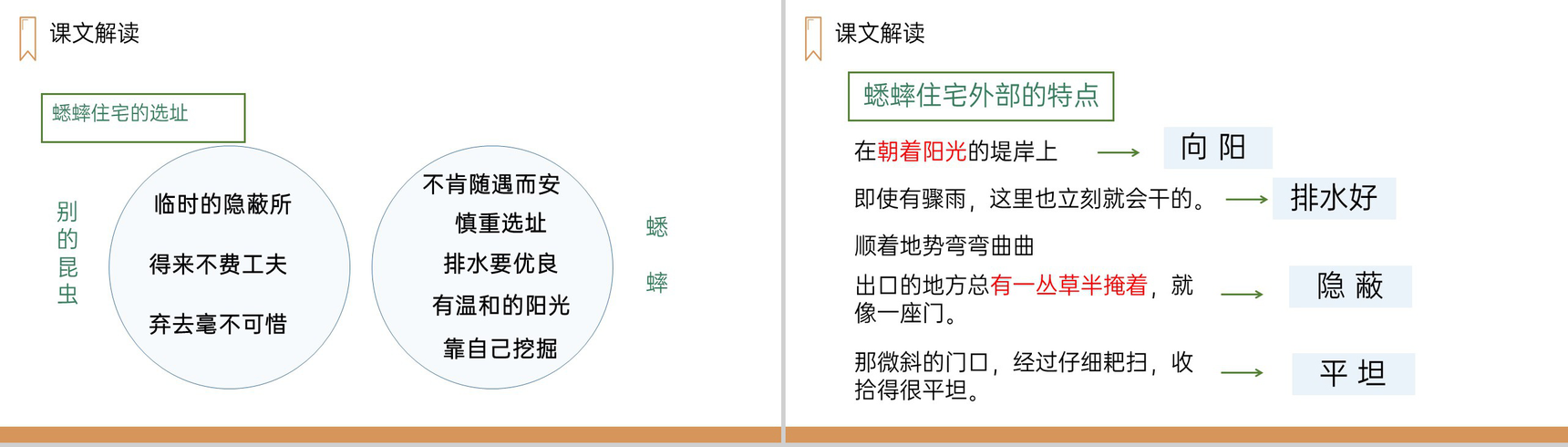 《蟋蟀的住宅》人教版四年级上册语文PPT课件-7