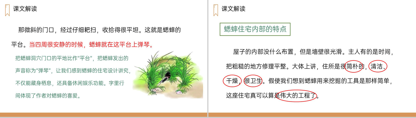 《蟋蟀的住宅》人教版四年级上册语文PPT课件-8