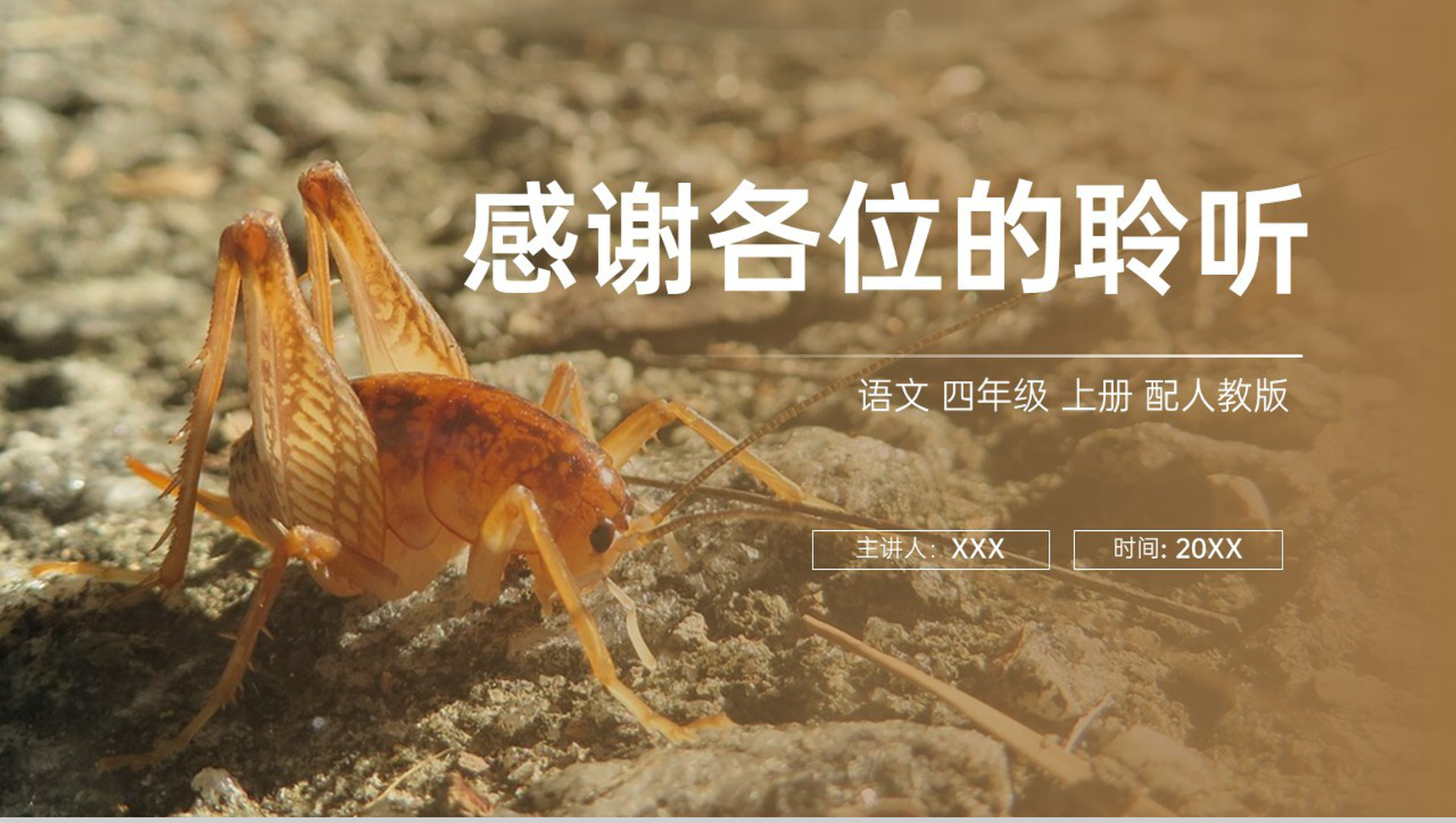 《蟋蟀的住宅》人教版四年级上册语文PPT课件-11