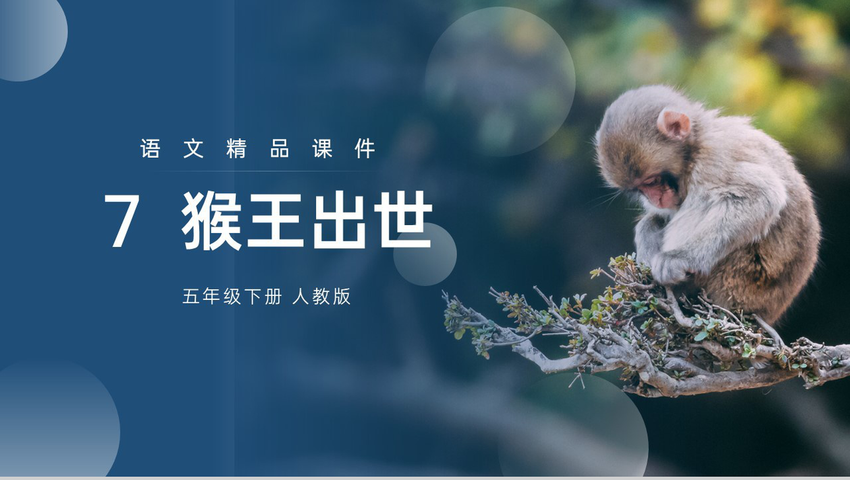 《猴王出世》人教版五年级下册语文精品PPT课件-1