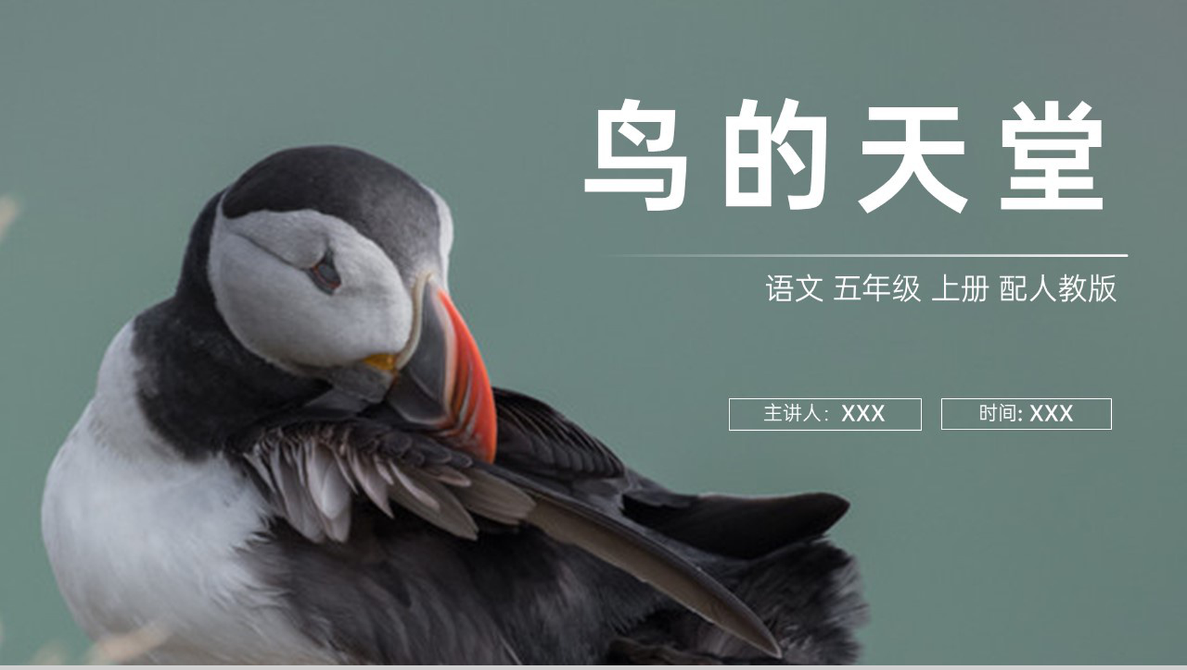 《鸟的天堂》人教版五年级上册语文PPT课件-1
