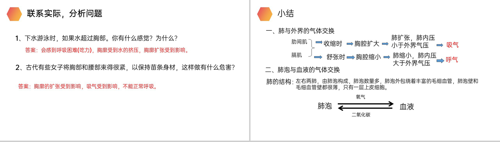 《发生在肺内的气体交换》人教版生物七年级初一下册PPT课件-14