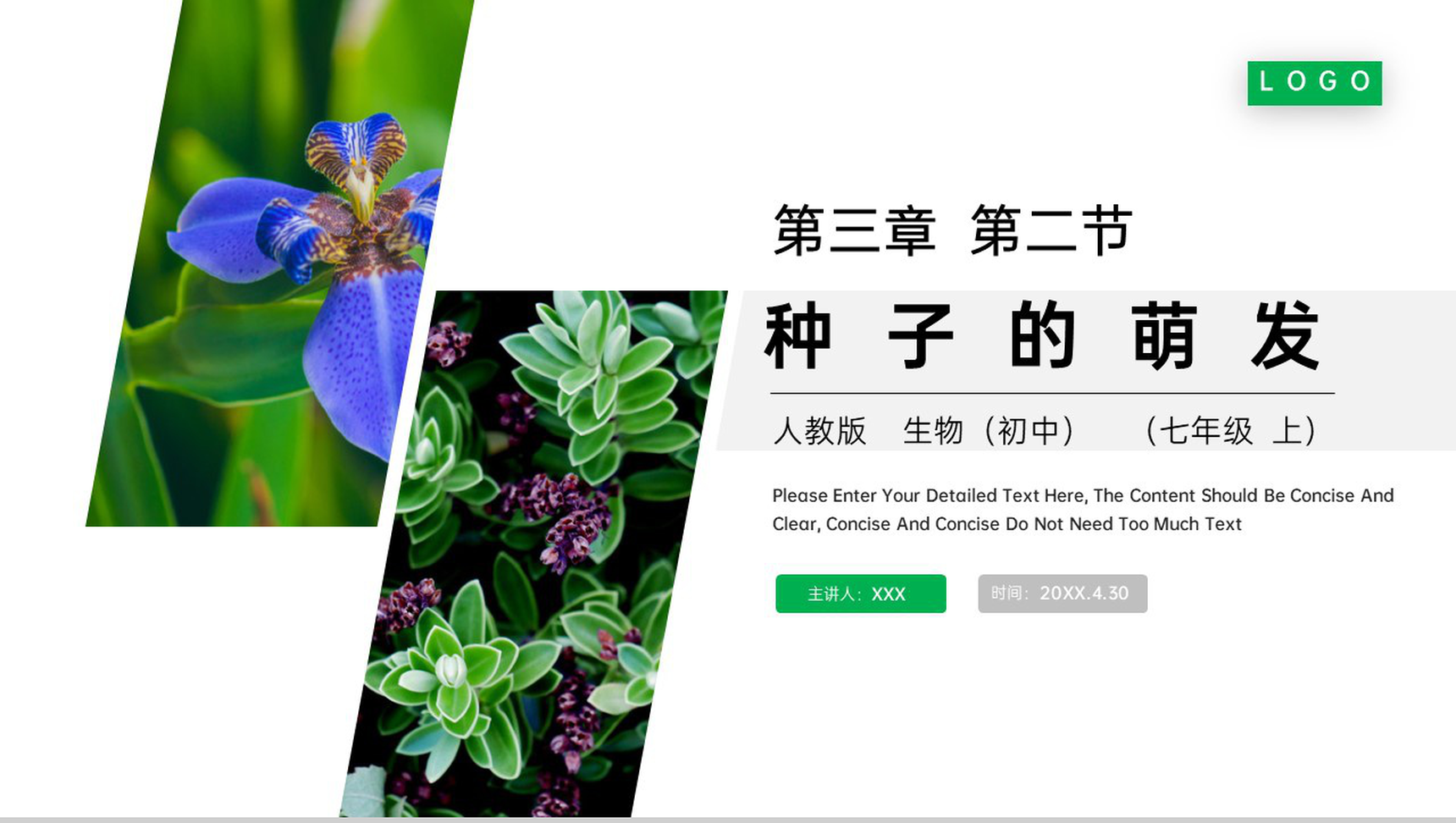 《种子的萌发》人教版七年级初一生物上册PPT课件-1