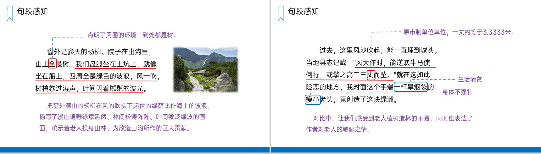 《青山不老》人教版六年级上册语文PPT课件-4