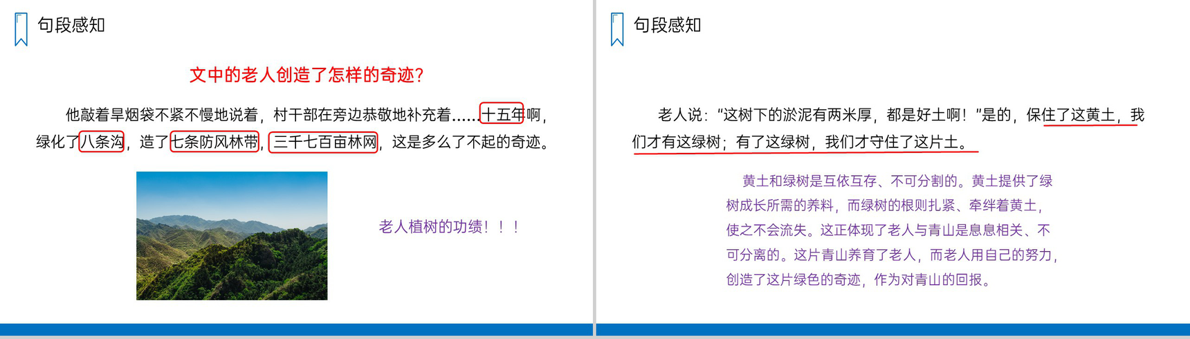 《青山不老》人教版六年级上册语文PPT课件-5