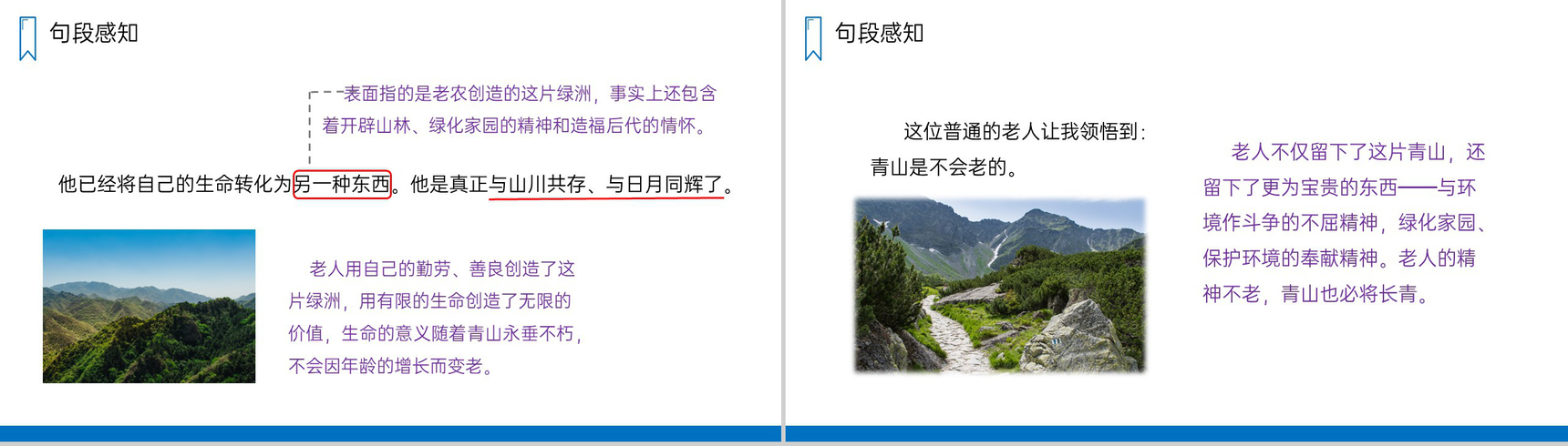 《青山不老》人教版六年级上册语文PPT课件-6