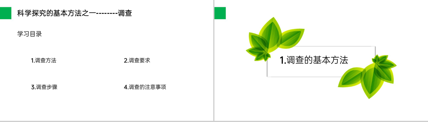 《调查周边环境中的生物》人教版七年级初一生物上册PPT课件-2