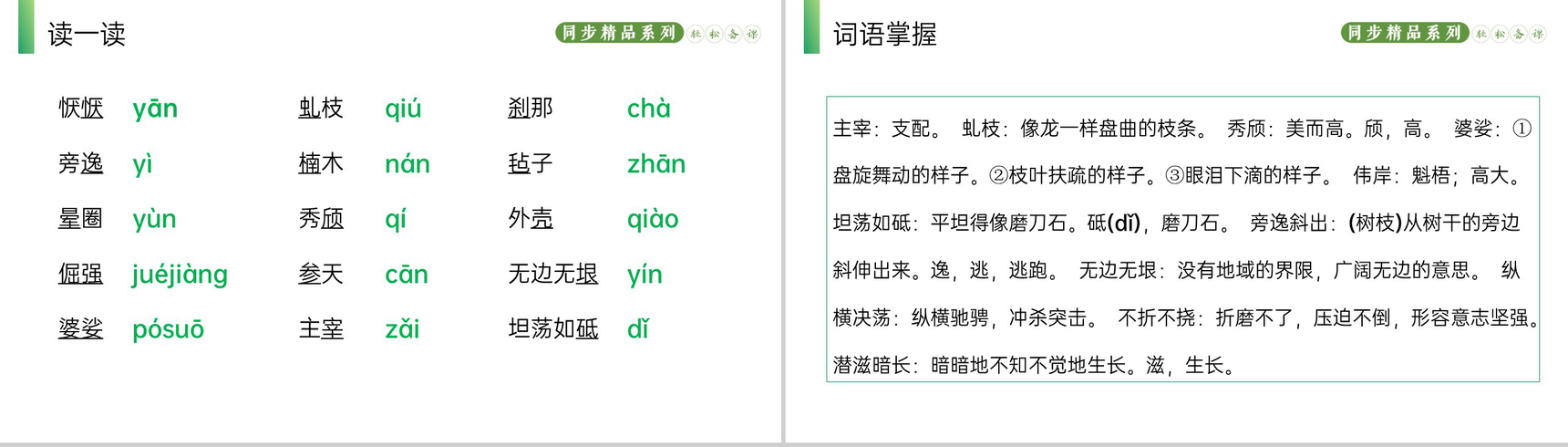 《白杨礼赞》人教版八年级上册语文PPT课件-4