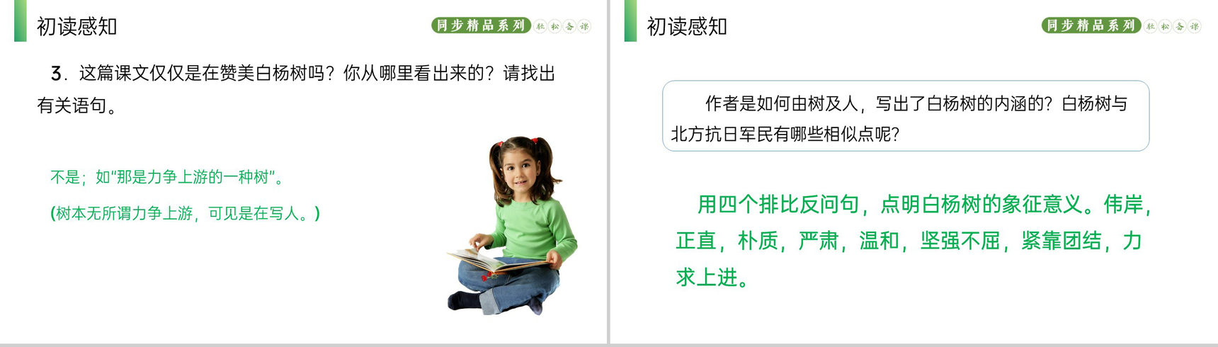 《白杨礼赞》人教版八年级上册语文PPT课件-6