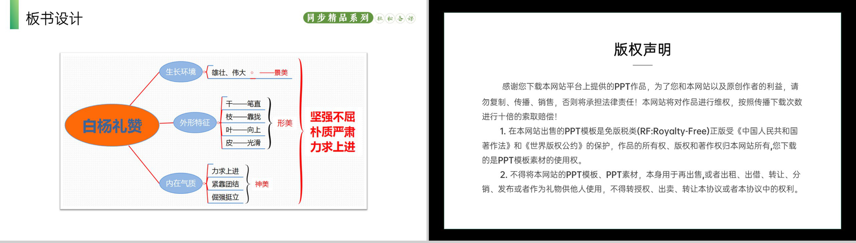 《白杨礼赞》人教版八年级上册语文PPT课件-10