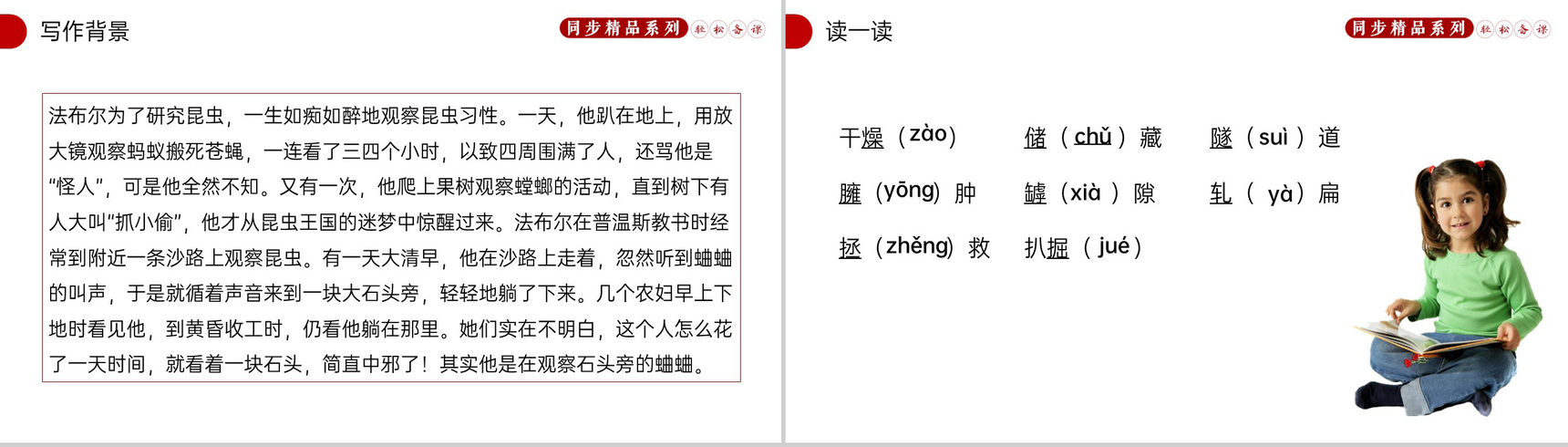 《蝉》人教版八年级上册语文PPT课件-3