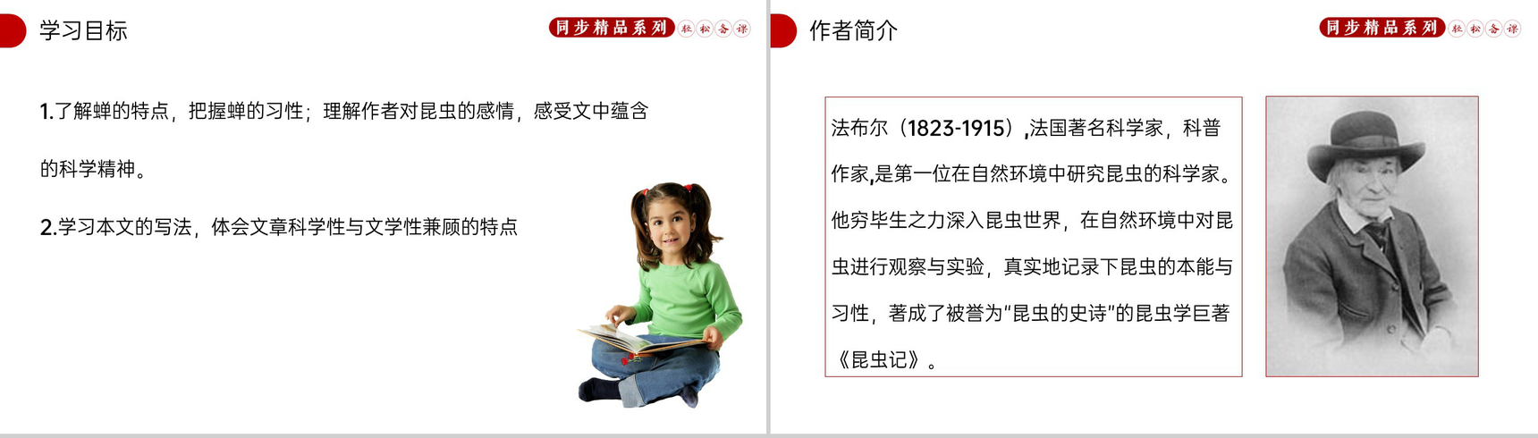 《蝉》人教版八年级上册语文PPT课件-2