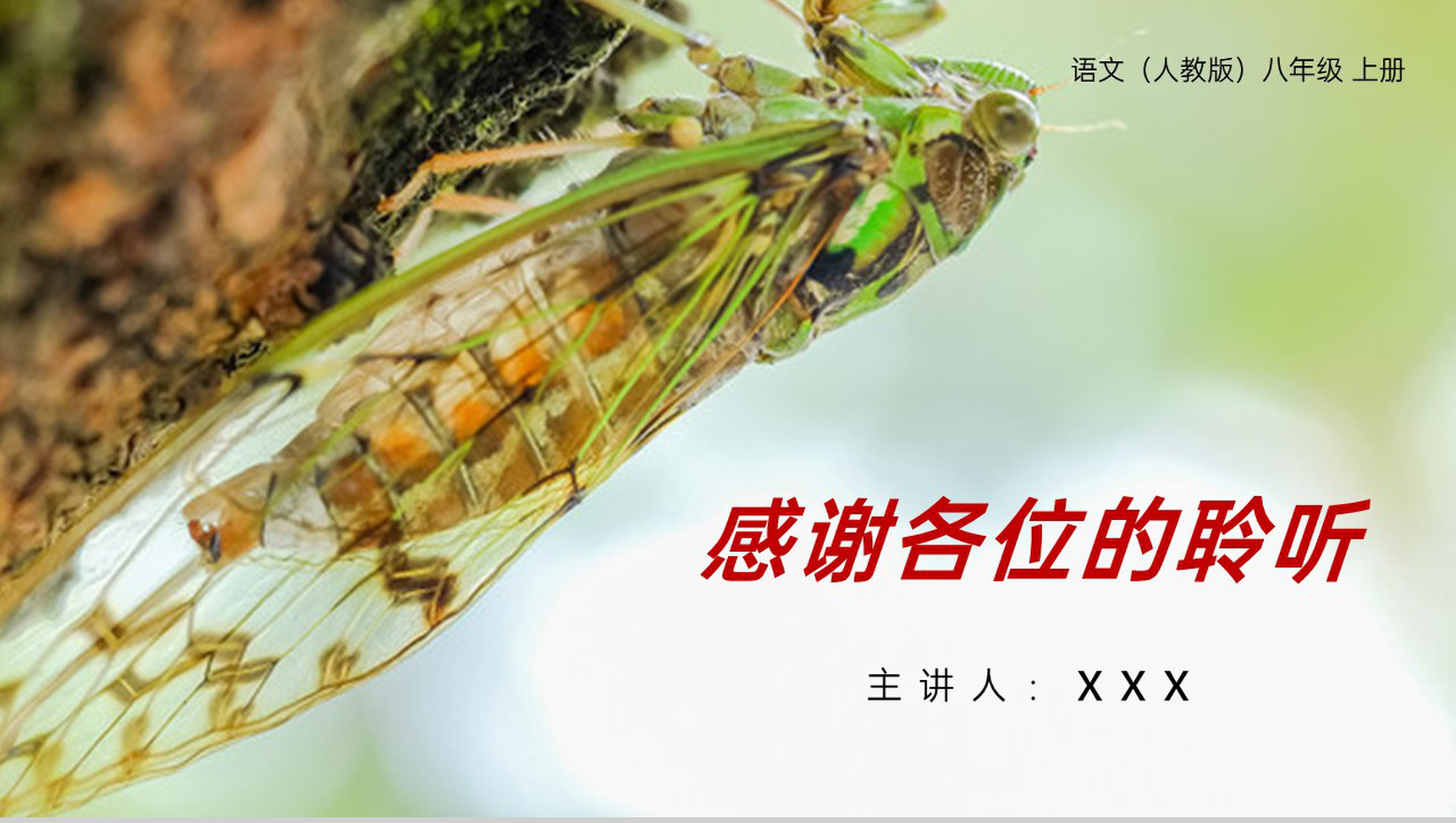 《蝉》人教版八年级上册语文PPT课件-9