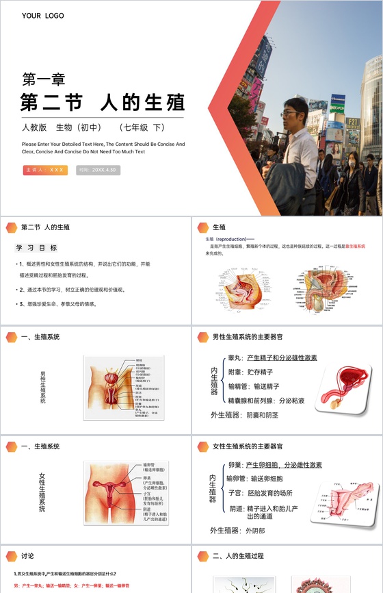 《人的生殖》人教版生物初中七年级初一下册