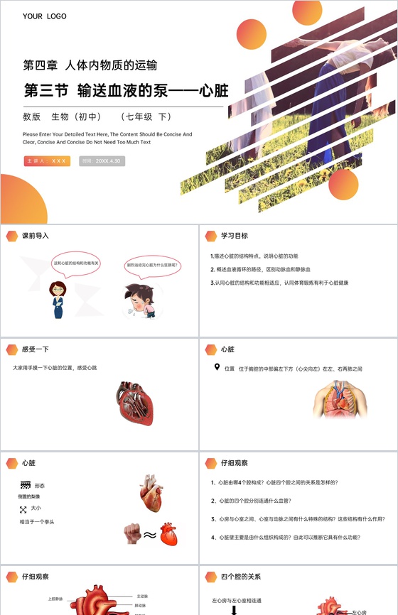 《输送血液的泵(心脏)》人教版生物七年级