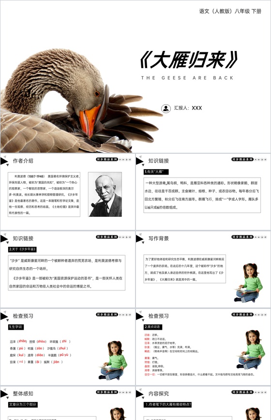 《大雁归来》人教版八年级下册语文PPT课