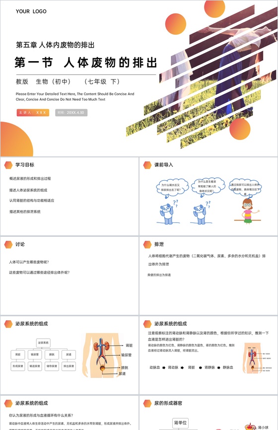 《人体废物的排出》人教版生物七年级初一下