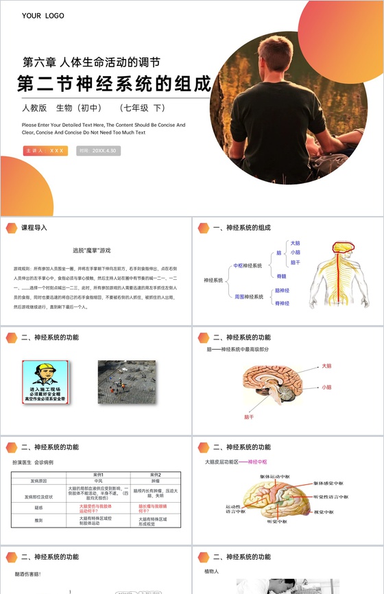 《神经系统的组成》人教版生物七年级初一下