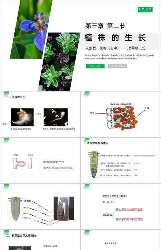 《植株的生长》人教版七年级初一生物上册P