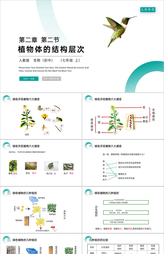 《植物体的结构层次》人教版七年级初一生物