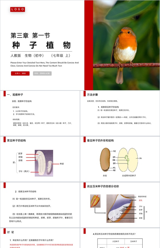 《种子植物》人教版七年级初一生物上册PP
