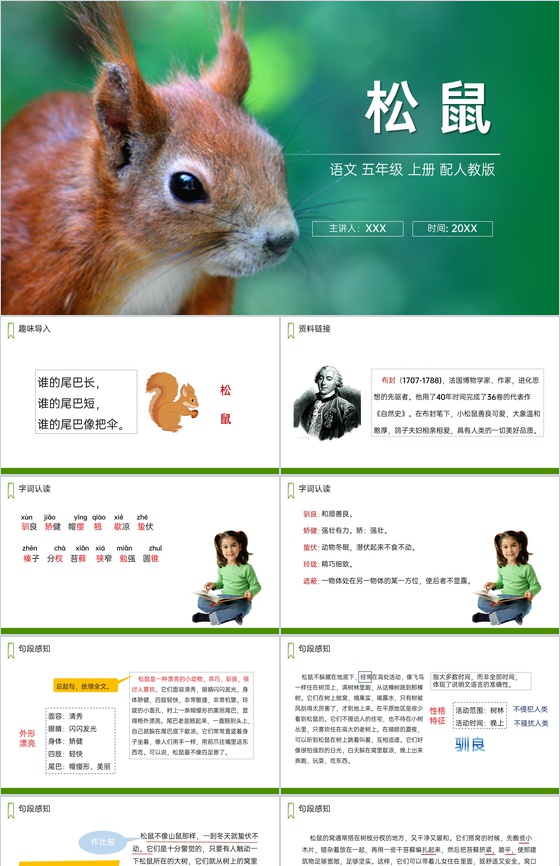《松鼠》人教版五年级上册语文PPT课件