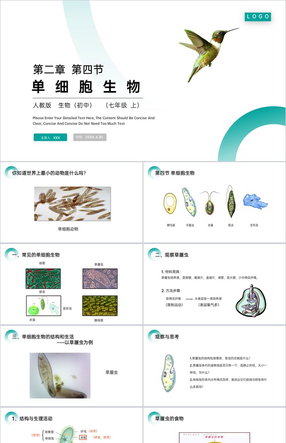《单细胞生物》人教版七年级初一生物上册P