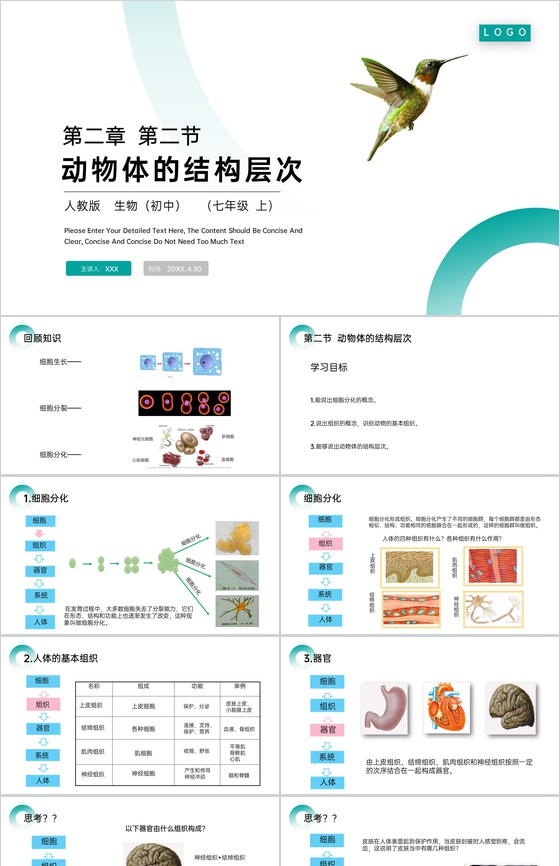 《动物体的结构层次》人教版七年级初一生物