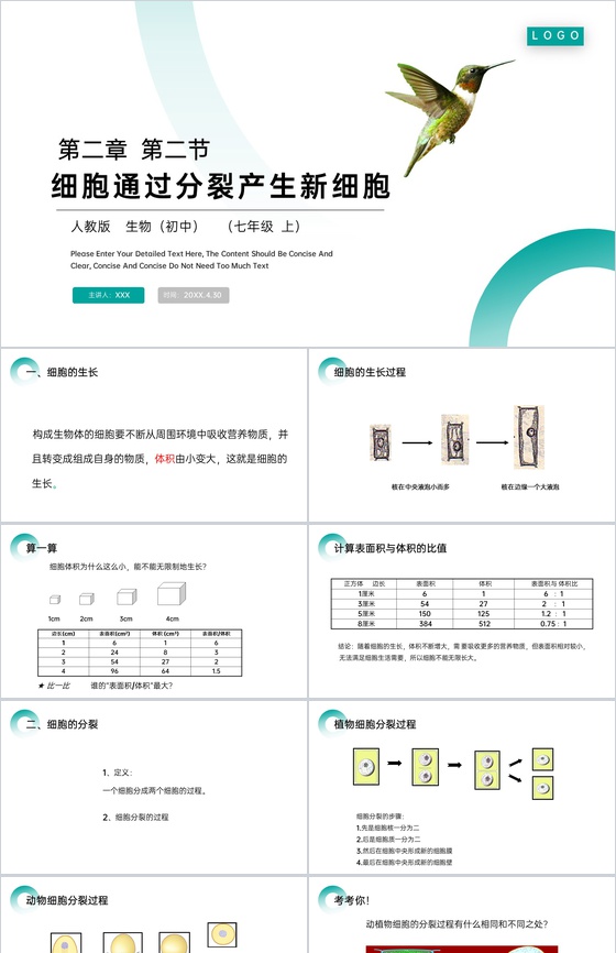《细胞通过分裂产生新细胞》人教版七年级初