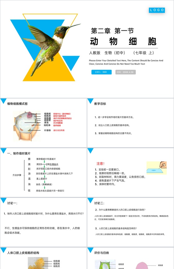 《动物细胞》人教版七年级初一生物上册PP