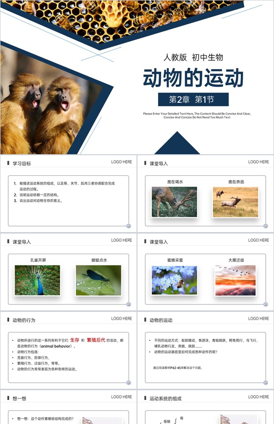 《动物的运动》八年级初二上册PPT课件(