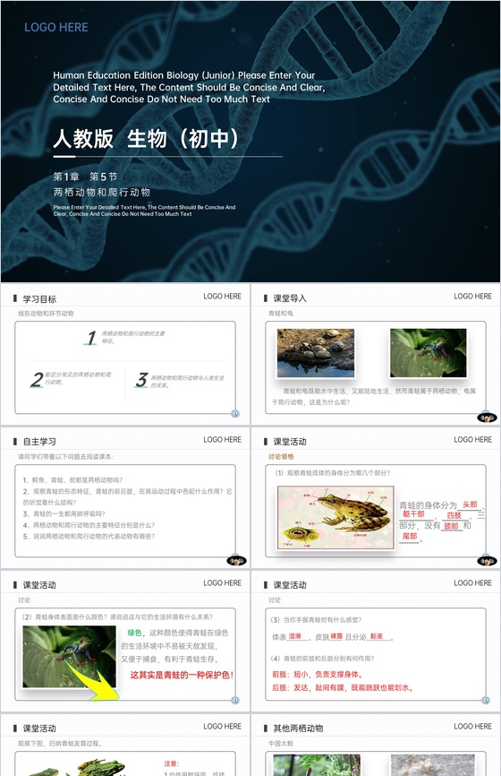 《两栖动物和爬行动物》八年级初二上册PP