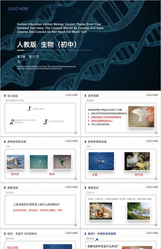 《鸟》八年级上册初二生物PPT课件(第5