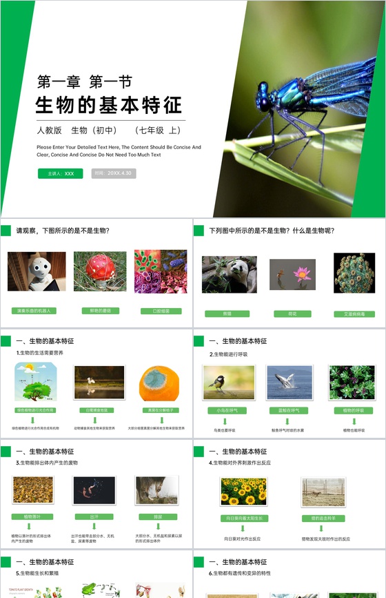 《生物的基本特征》人教版七年级初一生物上