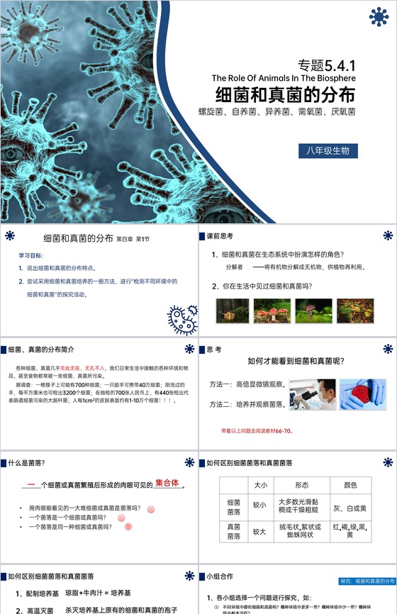 《细菌和真菌的分布》八年级初二上册PPT