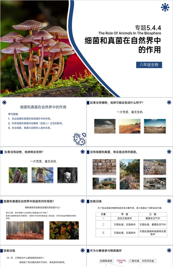 《细菌和真菌在自然界中的作用》八年级初二