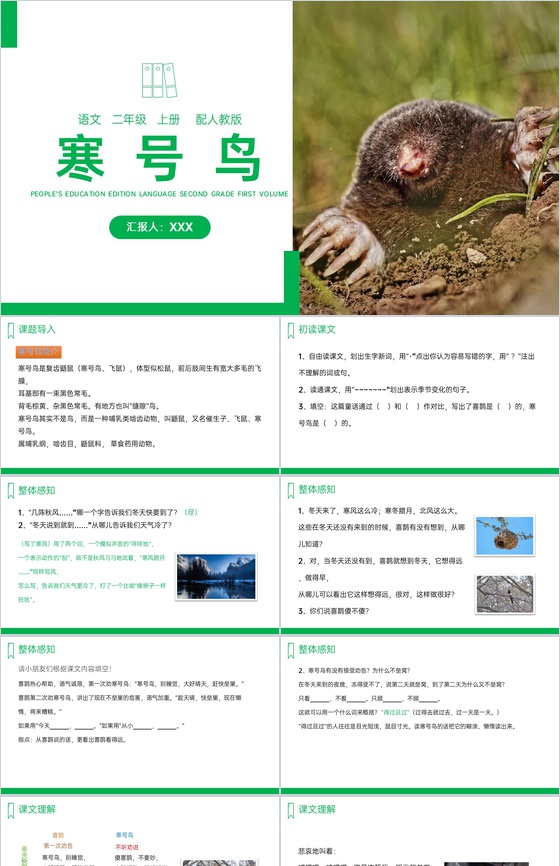 《寒号鸟》人教版二年级上册语文PPT课件