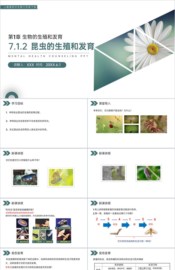 《昆虫的生殖和发育》人教版初中生物八年级