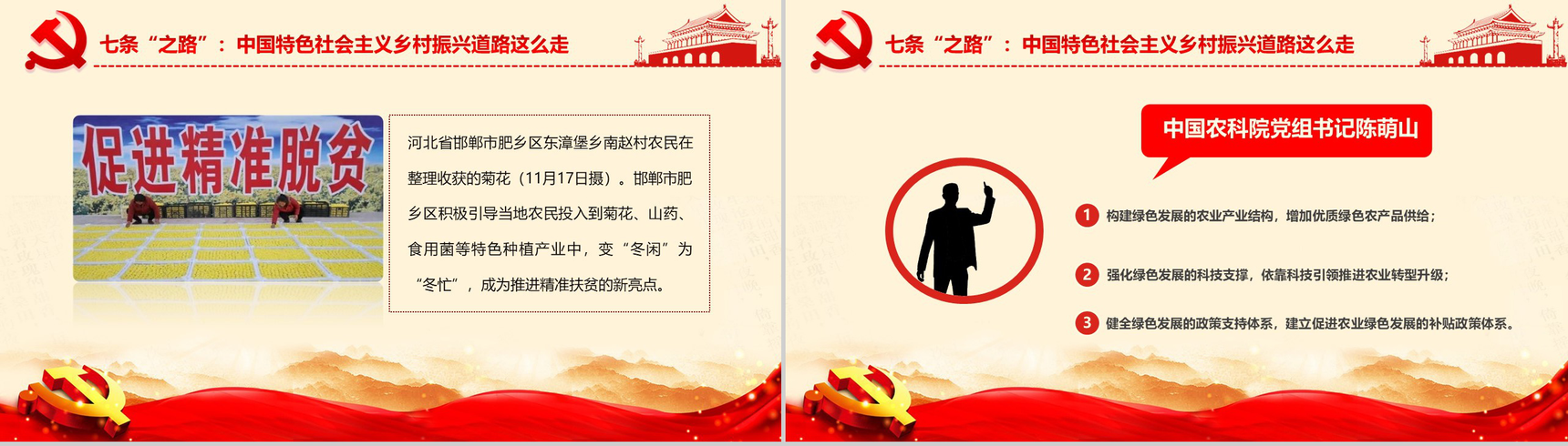 精致简约中央农村工作会议实现乡村振兴战略PPT模板-10