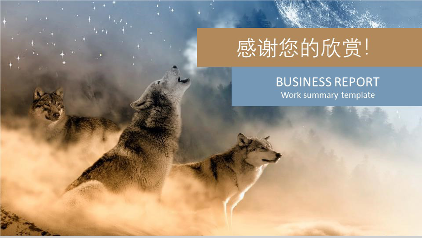 2019商务工作汇报通用PPT模板-12