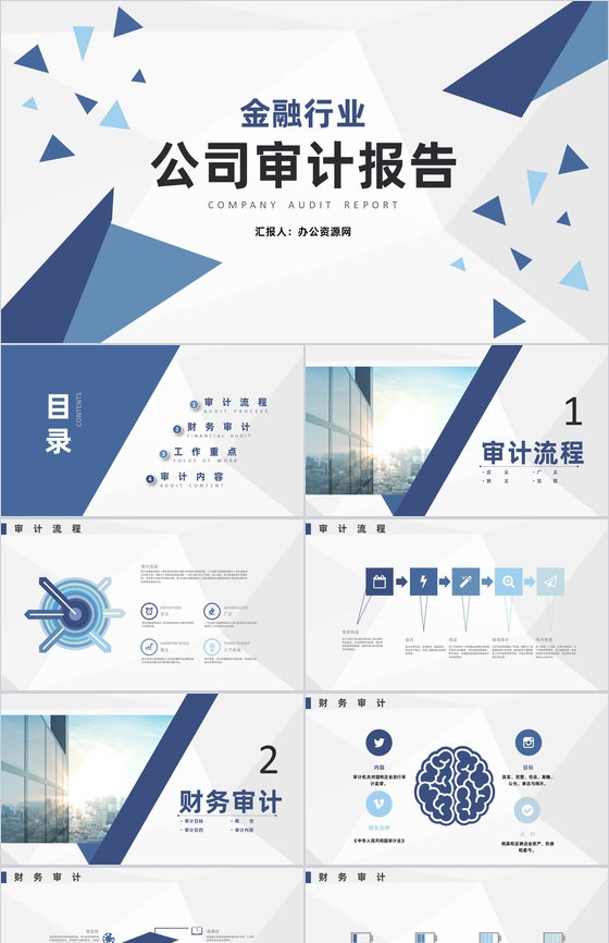 公司财务部审计工作重点年工作总结通用PP
